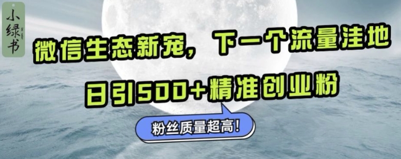 微信生態新寵小綠書：下一個流量洼地，日引500+精準創業粉，粉絲質量超高