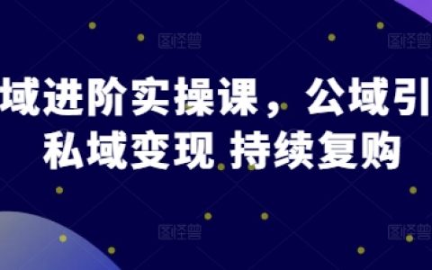 公域引流策略與私域變現實戰課程——提升持續復購技巧