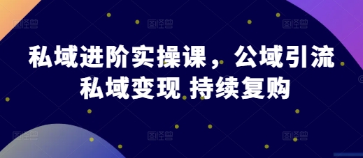私域進(jìn)階實(shí)操課，公域引流 私域變現(xiàn) 持續(xù)復(fù)購