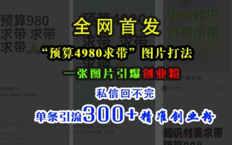 利用4980元預(yù)算，掌握小紅書圖片營(yíng)銷策略，單張圖片吸引大量關(guān)注，私信互動(dòng)頻繁，一條動(dòng)態(tài)帶來(lái)300+精準(zhǔn)創(chuàng)業(yè)粉絲