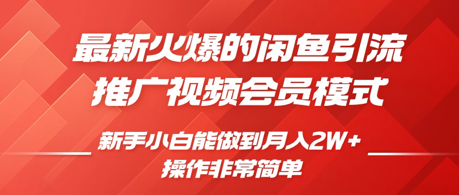 閑魚引流推廣影視會員，0成本就可以操作，新手小白月入過W+【揭秘】