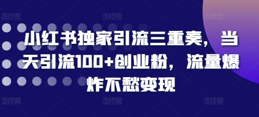 小紅書獨家引流三重奏，當(dāng)天引流100+創(chuàng)業(yè)粉，流量爆炸不愁變現(xiàn)【揭秘】