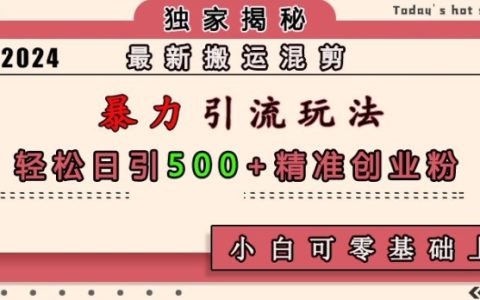 高效搬運(yùn)混剪技巧，日增500精準(zhǔn)創(chuàng)業(yè)粉絲，小白輕松上手