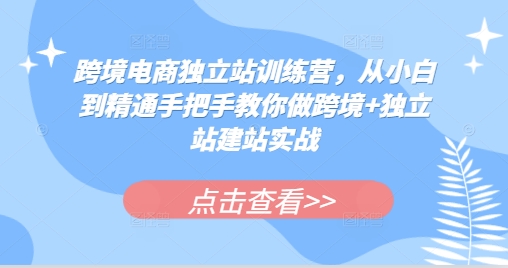 跨境電商獨立站訓練營，從小白到精通手把手教你做跨境+獨立站建站實戰