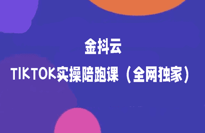 金抖云-TIKTOK實操陪跑課（全網獨家）【15節】