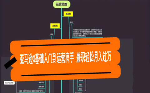 跨境電商實戰-亞馬遜0基礎入門到運營高手 兼職輕松月入過萬【30課程】