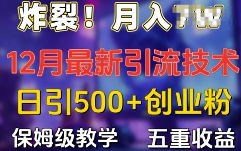 驚人！揭秘12月最新每日引流500+精準創業粉絲方法，保姆級教學助力多重收益