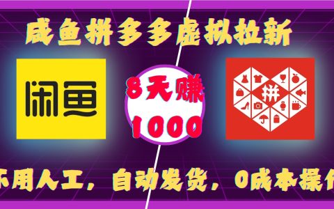 拼多多虛擬商品拉新推廣：自動發(fā)貨0成本操作，8天實(shí)現(xiàn)千元收益【詳細(xì)指南】