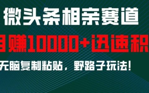 微頭條相親賽道攻略：輕松積累粉絲，無腦復(fù)制粘貼技巧，月入過萬秘籍