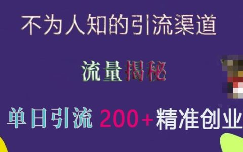 如何利用不為人知的引流渠道實現單日獲取200+精準流量？實戰分享與技巧揭秘
