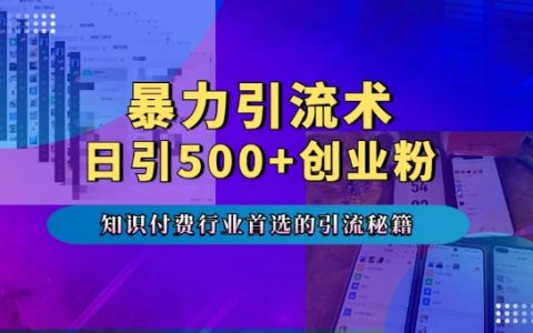 高效引流技巧：專業領域付費課程推廣秘籍，每日吸引超500創業者，多設備流量不斷