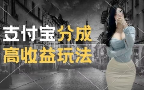 揭秘支付寶新分成計劃：巧用交通事故視頻，實現輕松月入過萬，操作簡便易行