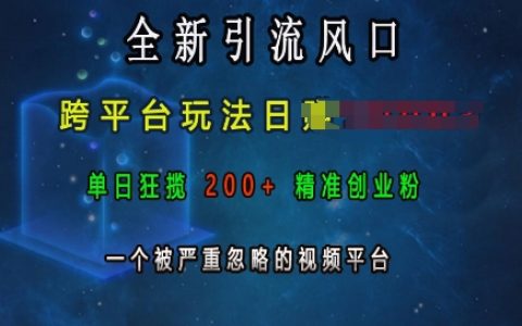 揭秘跨平臺引流新風口：日收入超千，單日吸引200+精準創業粉絲，一個被嚴重忽視的視頻平臺的崛起
