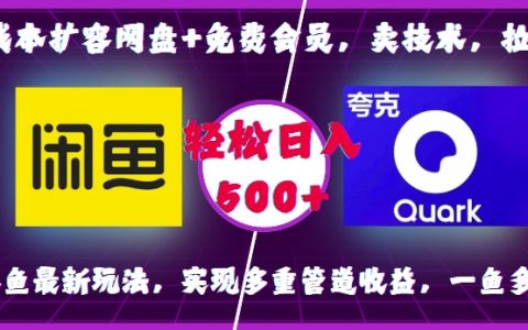 0成本擴展云存儲空間+免費會員計劃，技術變現與用戶拉新策略，咸魚平臺最新操作指南，實現多渠道收入，一魚多吃，輕松日入500+