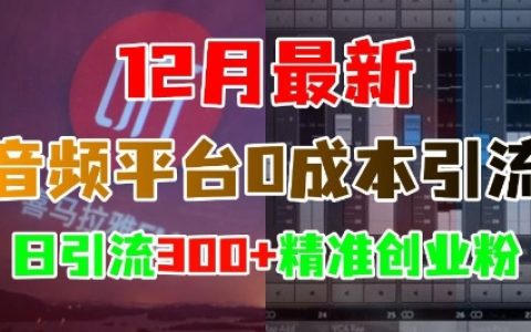 12月更新：音頻平臺(tái)無成本引流技巧，每日吸引300+精準(zhǔn)創(chuàng)業(yè)粉絲