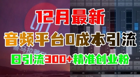 12月最新：音頻平臺(tái)0成本引流，日引流300+精準(zhǔn)創(chuàng)業(yè)粉