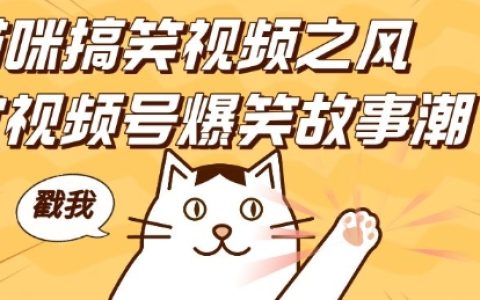 借助貓咪搞笑視頻熱潮，打造視頻號爆笑故事，輕松實現日收入四位數，零基礎快速入門