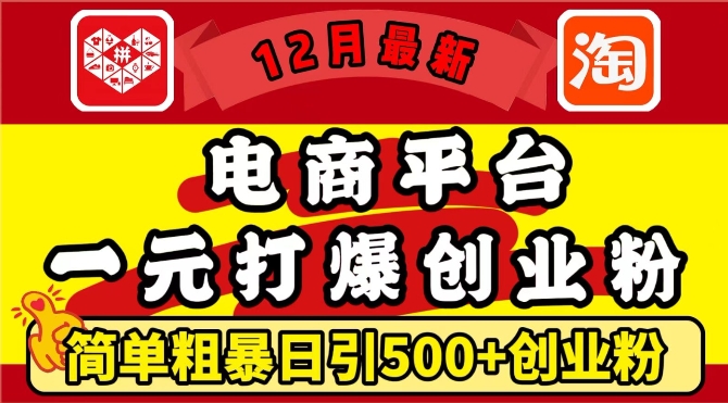 12月最新：電商平臺1元打爆創業粉，簡單粗暴日引500+精準創業粉，輕松月入過W【揭秘】