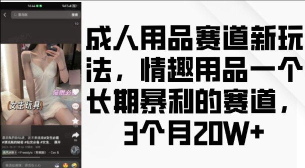 成人用品賽道新玩法，情趣用品一個長期暴利的賽道，3個月收益20個【揭秘】