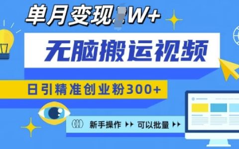 新手小白也能操作的視頻號批量引流技巧，每日精準吸引創業粉絲300+，月入過萬的秘密揭露
