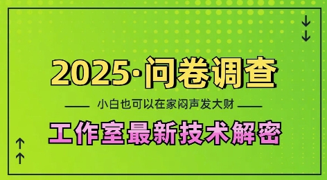 2025問卷調(diào)查最新工作室技術(shù)解密：一個(gè)人在家也可以悶聲發(fā)大財(cái)，小白一天2張，可矩陣放大【揭秘】