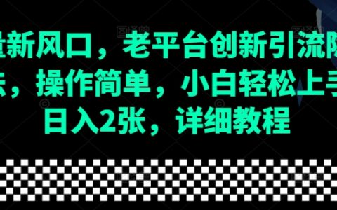 流量新趨勢：老平臺創(chuàng)新引流技巧全解，操作簡便，小白輕松入門，日賺兩百全攻略