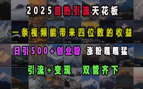 2025年自熱引流新高度，視頻實現四位數收益，引流與變現并行，每日吸引500+創業者，粉絲暴漲攻略【全面解析】