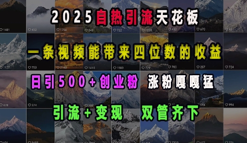 2025自熱引流天花板，一條視頻能帶來(lái)四位數(shù)的收益，引流+變現(xiàn)雙管齊下，日引500+創(chuàng)業(yè)粉，漲粉嘎嘎猛