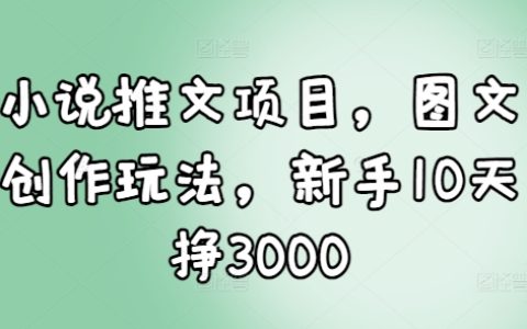 10天新手入門指南：小說推文項(xiàng)目圖文創(chuàng)作玩法，輕松實(shí)現(xiàn)3000元收益（附實(shí)戰(zhàn)技巧）