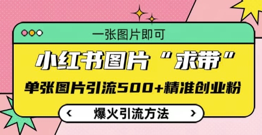 小紅書圖片‘求帶’爆火引流法，單張圖片引流500+精準創業粉【揭秘】