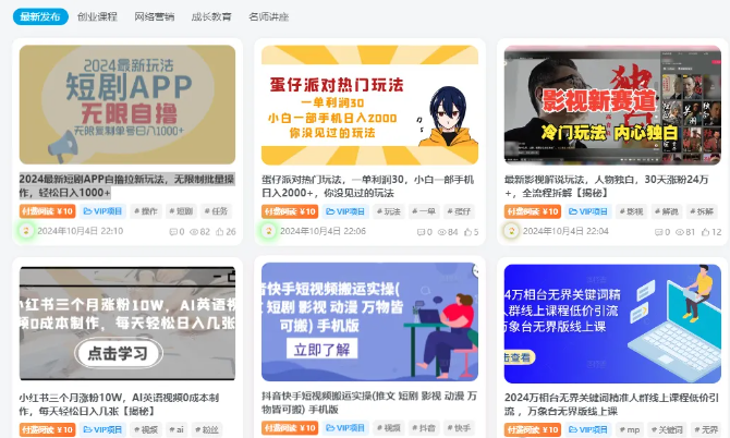 無腦搬運賺錢項目，9個網站，月入12000+
