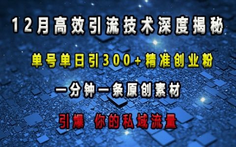 深度解析高效引流技巧：每日單賬號吸引超300精準創業粉絲，一分鐘生成原創內容，快速提升私域流量