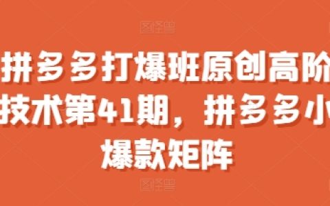 拼多多高階技術(shù)提升班-打造小爆款矩陣實戰(zhàn)課程
