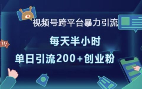 視頻號多平臺高效引流技巧，每日30分鐘實現單日超200精準創業粉絲增長
