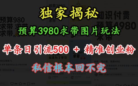 3980元全套教程：圖片引流玩法，實現日增500+精準創(chuàng)業(yè)粉絲，私信暴漲應對方案