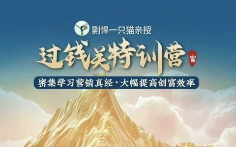 剽悍一只貓過錢關特訓營：掌握營銷精髓，大幅提升創富效率
