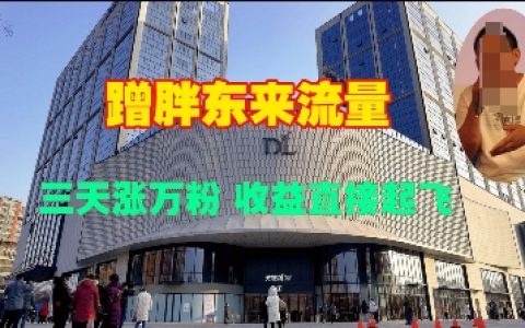 三天吸粉過萬，跟隨胖東來模式快速提升關注度與收益策略