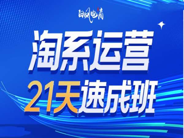 淘系運營21天速成班35期，年前最后一波和2025方向