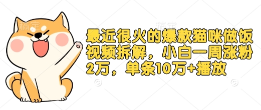最近很火的爆款貓咪做飯視頻拆解，小白一周漲粉2萬，單條10萬+播放(附保姆級教程)