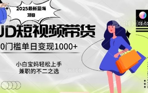 2025年最新藍海創(chuàng)業(yè)項目，0門檻每日收入過千，小白寶媽輕松入門【獨家揭秘】