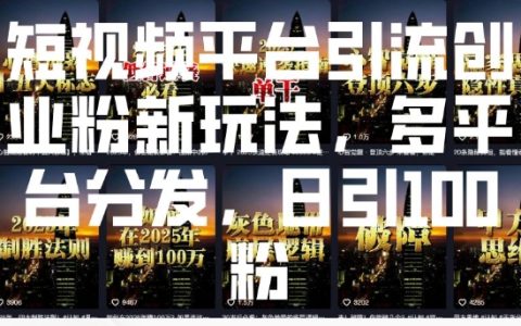 掌握短視頻引流技巧：多平臺(tái)操作日增100創(chuàng)業(yè)粉絲策略