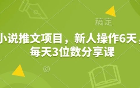 新手入門小說推廣計劃，六日速成教程，每日百人次分享技巧