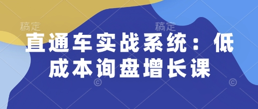 直通車實戰系統：低成本詢盤增長課，讓個人通過技能實現升職加薪，讓企業低成本獲客，訂單源源不斷