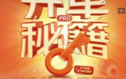 淘寶開店攻略PRO：個性化實戰(zhàn)陪跑方案，解決店鋪迷茫，助力突破運營瓶頸