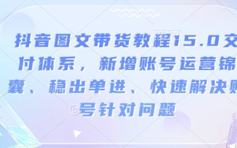 抖音圖文帶貨攻略15.0：全新賬號運營方案、穩(wěn)定出單技巧及快速解決問題