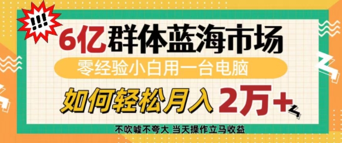 6億群體藍海市場，零經驗小白用一臺電腦，如何輕松月入過w【揭秘】