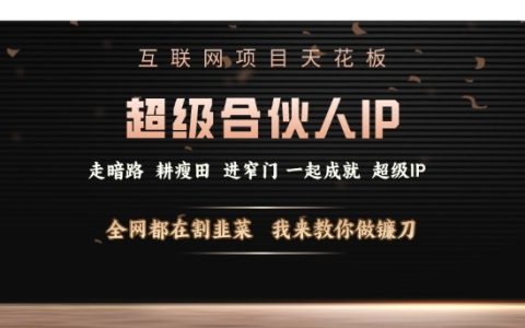 揭秘互聯(lián)網(wǎng)項(xiàng)目巔峰策略：打造超級(jí)合伙人IP，逆轉(zhuǎn)被動(dòng)局面，教你成為收割市場(chǎng)的高手