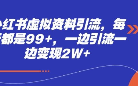 每日99+虛擬賬號(hào)引流技巧，邊引流邊實(shí)現(xiàn)月入2萬+的實(shí)戰(zhàn)經(jīng)驗(yàn)分享