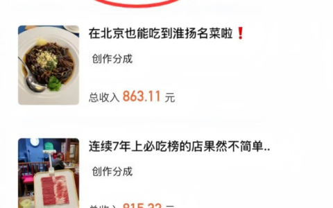 大眾點評賞金計劃，簡單搬運一天收入1500+，看完這個方法直接上手