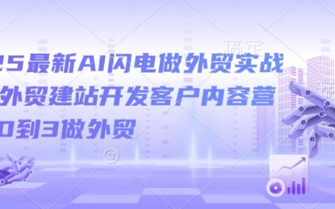 2025最新AI外貿(mào)實戰(zhàn)課：外貿(mào)建站+客戶開發(fā)+內(nèi)容營銷，從0到3快速入門